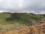 Høgefjellet Høgefjellet