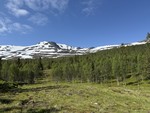 Skinnfjellet Østtoppen Skinnfjellet Østtoppen