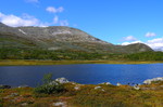 Veslebotnskarvet Veslebotnskarvet