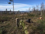 Nord for Leium Nord for Leium