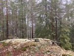 Nordvest for Varsjøen Nordvest for Varsjøen
