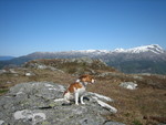 Håfjell Håfjell