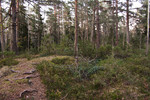 Stokkeråsen Stokkeråsen