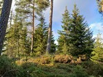 Gusterudvangen Gusterudvangen