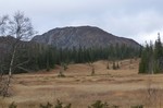 Fyljomsnuten Fyljomsnuten