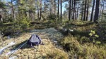 Himåsen Himåsen