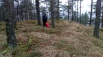 Helgelandsåsen Helgelandsåsen
