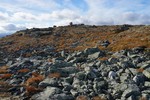 Skjeltrene trig. pkt. Skjeltrene trig. pkt.
